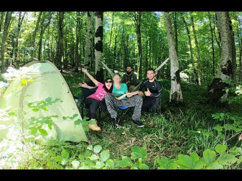 საბადურის ტყე კარვებით | ღულელები